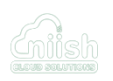 Niish cloud solutions